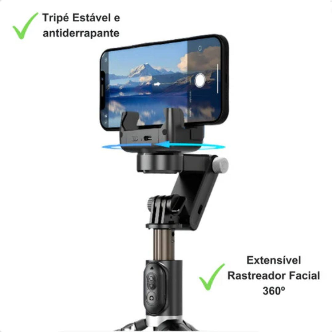 Estabilizador Gimbal ProMaster Q18